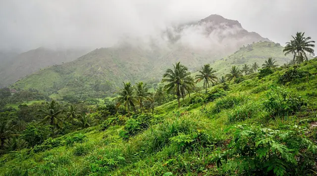 Salalah