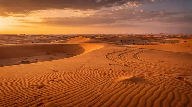 Wahiba Sands